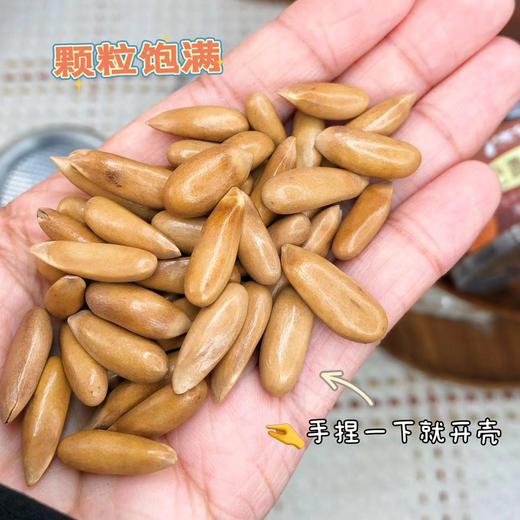 【巴西松子】当季新货，只选用当季的巴西松子做的，炒制的时候只加了适量食用盐调味，入口松脆，回味甘甜，皮薄仁大，手捏可剥开，满足吃货的挑剔味蕾！~ 商品图2