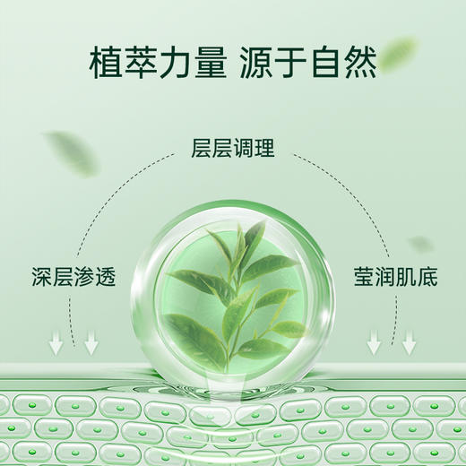 雅莎尔【精选】 茶多酚控油收缩水 100ml 【院线同款】爽肤水补水收缩毛孔水油平衡 商品图2