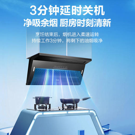 海尔（Haier）烟机CXW-358-E900C61 商品图11