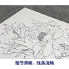 【大彩图】龚雪青工笔画白描底稿小品《牡丹》临摹勾线花鸟线稿XQ26 商品缩略图4