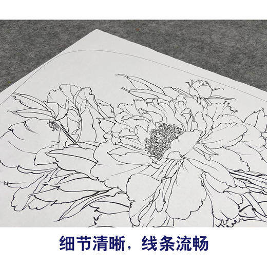 【大彩图】龚雪青工笔画白描底稿小品《牡丹》临摹勾线花鸟线稿XQ26 商品图4