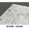 【大彩图】龚雪青工笔画白描底稿《牡丹鲤鱼》临摹勾线花鸟线稿XQ52 商品缩略图4