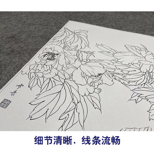 【大彩图】龚雪青工笔画白描底稿《牡丹鲤鱼》临摹勾线花鸟线稿XQ52 商品图4