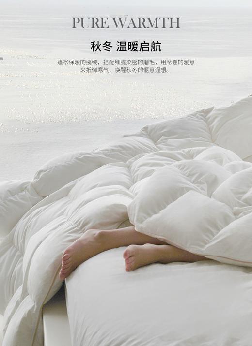 2023新款鹅绒被｜升级内里鹅绒克重！升级可水洗防绒抗菌磨毛面料！ 希尔顿酒店集团七星j。五星ji酒店yu用鹅绒被代工厂  中国鹅绒被龙tou企业 康浩集团 95白鹅绒被芯 羽绒被空调被冬被暖被 商品图0