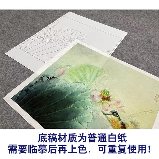【大彩图】龚雪青工笔画白描底稿斗方小品《荷花翠鸟》临摹勾线花鸟线稿XQ24 商品图3