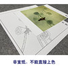 【大彩图】龚雪青工笔画白描底稿斗方小品《清露》莲蓬临摹勾线花鸟线稿XQ25 商品缩略图2