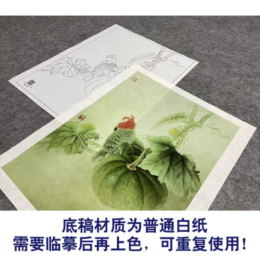 【大彩图】龚雪青工笔画白描底稿小品《南瓜鹦鹉》临摹勾线花鸟线稿XQ65 商品图3