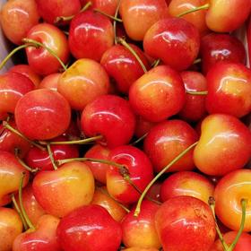 奶油黄樱桃 约500g/盒