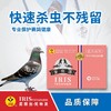 【爱丽丝】全虫清30g/体内虫产品 商品缩略图0