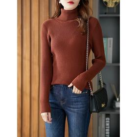 原形高领毛衣女修身202冬季新款韩版修身显瘦针织衫百搭打底衫
