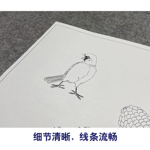 【大彩图】龚雪青工笔画白描底稿斗方小品《玉米小鸟》临摹勾线花鸟线稿XQ29 商品图4