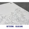 【大彩图】龚雪青工笔画白描底稿《牡丹》临摹勾线花鸟线稿XQ54 商品缩略图4