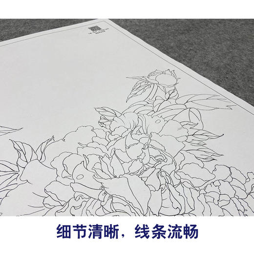 【大彩图】龚雪青工笔画白描底稿《牡丹》临摹勾线花鸟线稿XQ54 商品图4