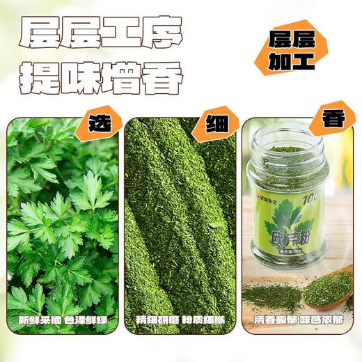 【袋鼠先生】配料干净提味增香  欧芹粉10g/罐 商品图1