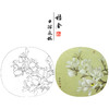 【大彩图】龚雪青工笔画白描底稿小品《玉兰花》临摹勾线花鸟线稿XQ13 商品缩略图0