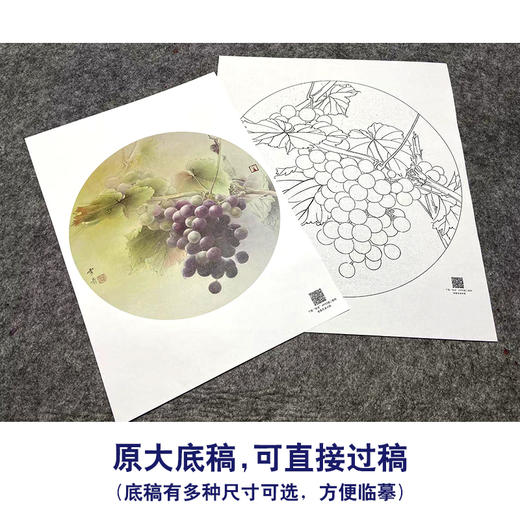 【大彩图】龚雪青工笔画白描底稿圆形小品《葡萄》临摹勾线花鸟线稿XQ07 商品图1