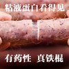 焦作温县垆土地铁棍山药新鲜发货 商品缩略图0