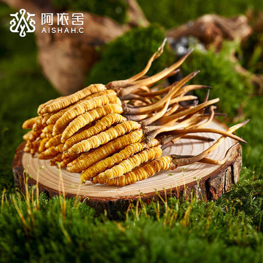阿依舍甄选冬虫夏草鲜虫草 商品图3