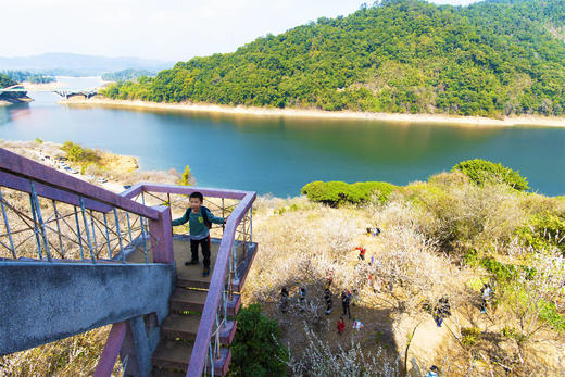1月5日 从化·邂逅流溪河香雪梅花 一天 商品图11