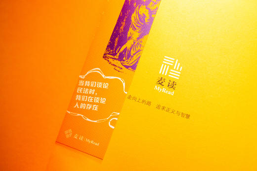 《严肃点，我们在讲民法：宇宙的尽头是民总》赠作者讲座 商品图3