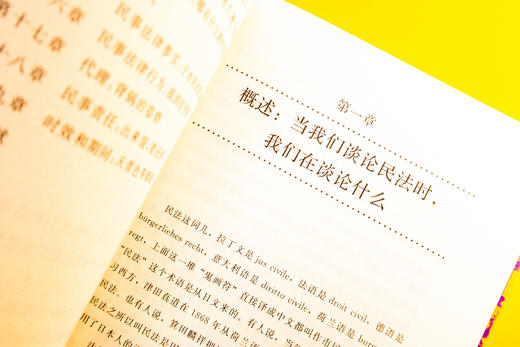 《严肃点，我们在讲民法：宇宙的尽头是民总》赠作者讲座 商品图8