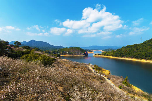 1月5日 从化·邂逅流溪河香雪梅花 一天 商品图8