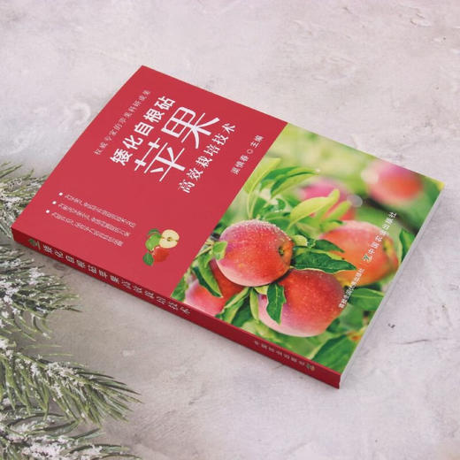 矮化自根砧苹果高效栽培技术【官方正版，可开发票，下单时留开票信息和电子邮箱】 商品图1