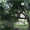 正谷古树红茶（大树） 商品缩略图4