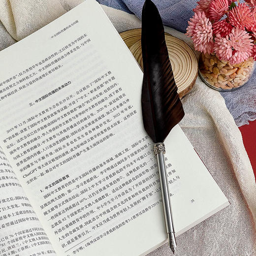 全球中文发展研究 第一辑 国际中文教育 商品图8