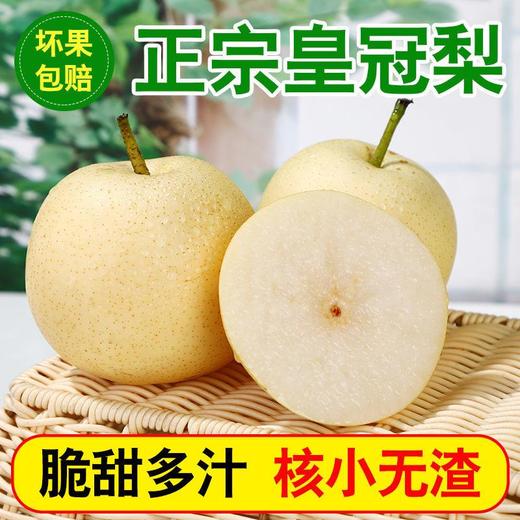 【细嫩脆甜！河北皇冠梨】现摘现发皇冠梨5斤10斤新鲜水果皇冠当季雪花梨鸭梨红香梨早酥梨梨子-觅食坊 商品图2