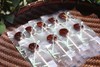 陈皮秋梨膏棒棒糖 商品缩略图1