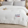 莱特A类抗J亲肤加厚冬被100%聚酯纤维 商品缩略图1
