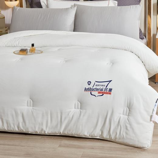 莱特A类抗J亲肤加厚冬被100%聚酯纤维 商品图1