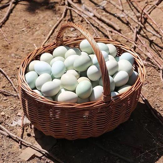 本地 散养土鸡蛋 （不吃饲料）（30枚） 商品图6