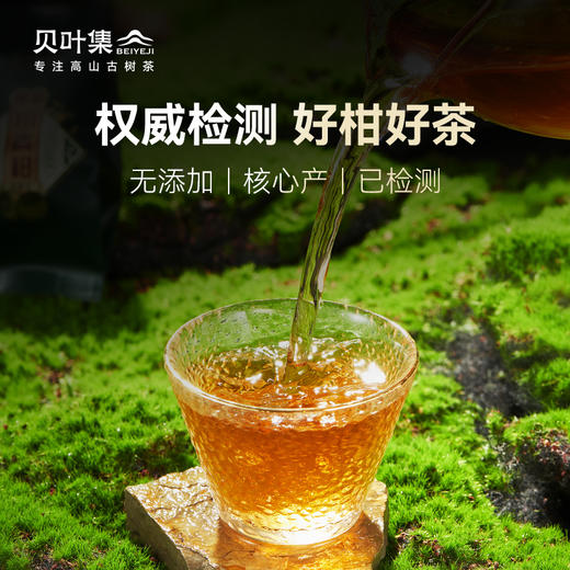 正宗新会果香小青柑12年陈皮勐海普洱熟茶叶直播大份量罐装 商品图3