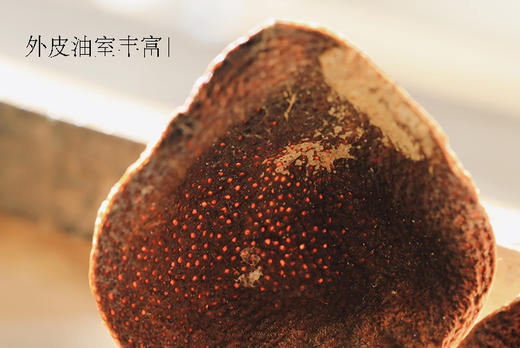 清如许茶仓｜新会老陈皮  2016梅江折花 2018东甲圈枝 煮茶搭档 商品图4