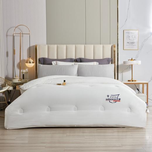 莱特A类抗J亲肤加厚冬被100%聚酯纤维 商品图0