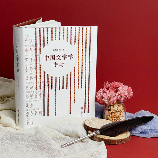 中国文字学手册 中国文字发展史简明版本 臧克和 精装 商品图3