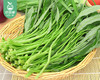 【叼鲜蔬】漳州新鲜青杆空心菜（头茬）/1份（350g） 商品缩略图1