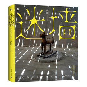 严明《迷墙》（独家周边）严明首部彩色摄影集