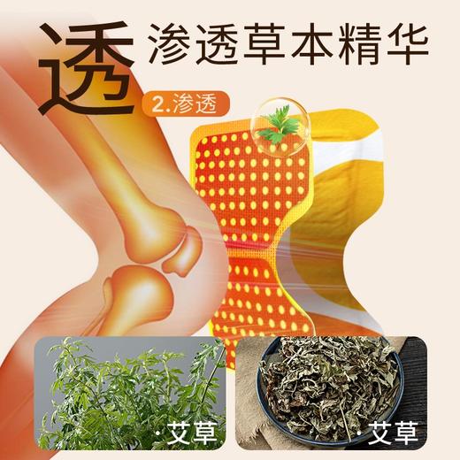 【丽悦艾草热敷暖膝贴】精选艾草萃取 5小时恒温热敷  养护膝盖 放松身心 人体工学 可拉伸绑带设计  适应各种身材 5片/盒*2盒 商品图3