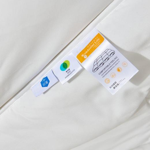 莱特A类抗J亲肤加厚冬被100%聚酯纤维 商品图8