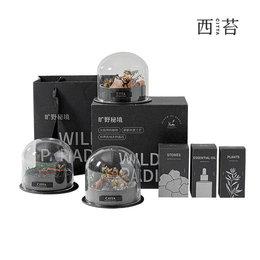 【云优选】西苔 旷野秘境升级款-扩香晶石香薰精油香氛家用摆件（拆封后不支持退换货，介意慎拍！） 商品图0