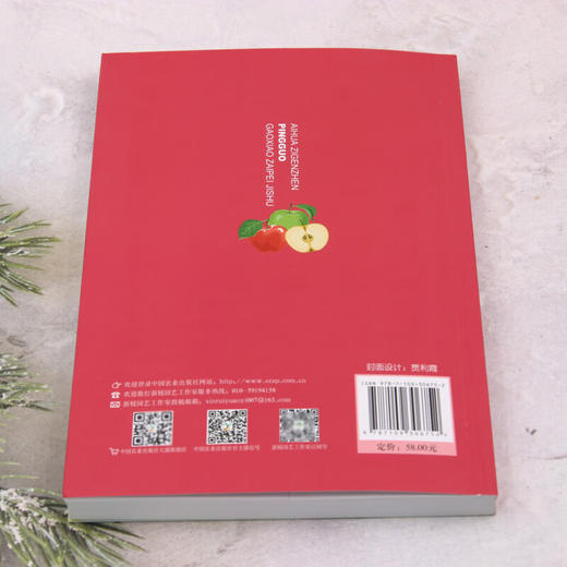 矮化自根砧苹果高效栽培技术【官方正版，可开发票，下单时留开票信息和电子邮箱】 商品图2