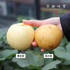 有机香水梨（基地直发-顺丰/京东包邮）| 多种规格，来自山西黎城，生产者：张韶明【合作生产，公平贸易】 商品缩略图7