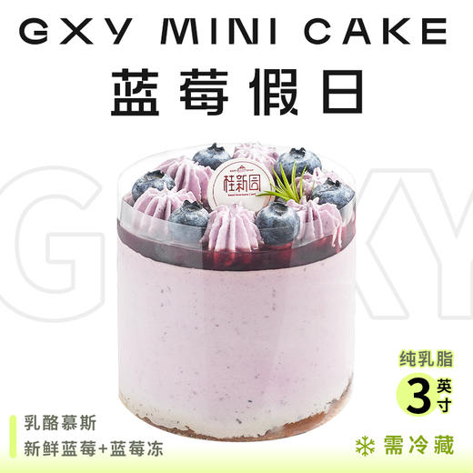 蓝莓假日3英寸-到店自提 商品图0