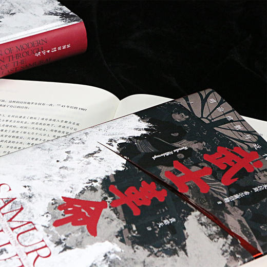 武士革命 以下层武士为中心的明治维新探究日本近代崛起的真正原因 商品图1