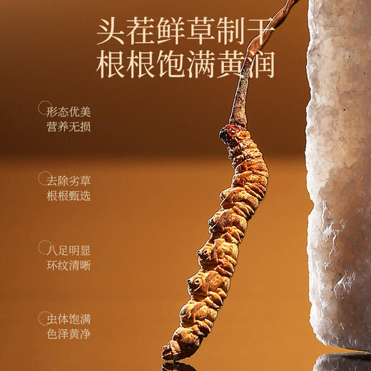 严选 | 杞里香冬虫夏草 10根 高原完整虫草 人工手选根根完整 泡茶泡酒煲汤 商品图1