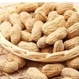 生态原味炒花生 | 颗粒饱满 纯正香醇 | 公平贸易 * Ecological original flavor fried peanuts 商品图2