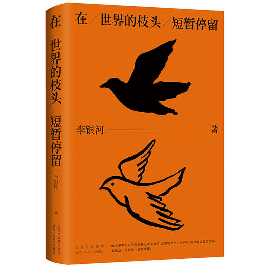 李银河：在世界的枝头短暂停留 商品图0
